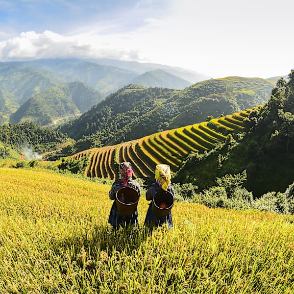 2 for 1 Vietnam: Grüner Norden mit Local Living in Sapa