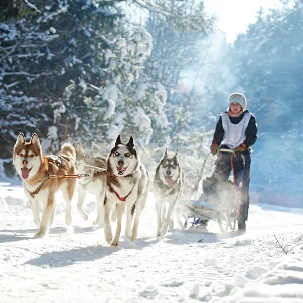 Norwegen Bucketlist: Arctic Roadtrip zum Nordkap!