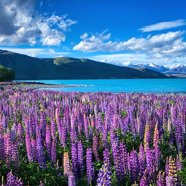 Australia and New Zealand: Livin' a Down Under dream!