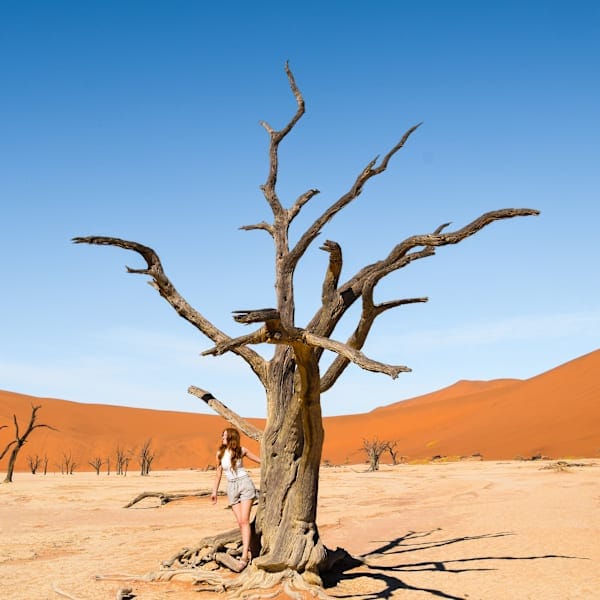 Namibia meets South Africa: Desert road trip and wildlife glamping